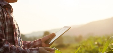 Aplicativo para o setor agro é tendência de crescimento exponencial 