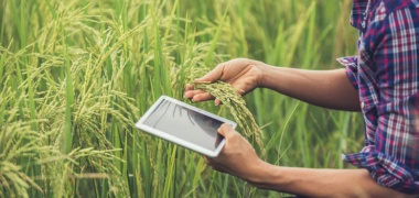 Saiba como as soluções em tecnologia para propriedades rurais impulsionam o agro