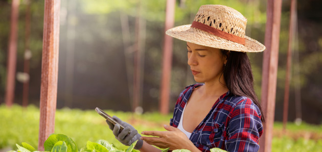 Como aplicativos ajudam no agronegócio? Como aplicativos ajudam no agronegócio?