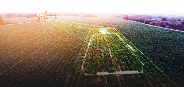 Como a inteligência artificial ajuda o agronegócio?