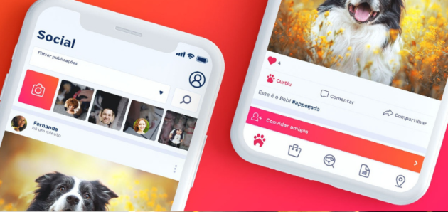 A transformação digital do app no mundo pet